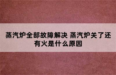 蒸汽炉全部故障解决 蒸汽炉关了还有火是什么原因